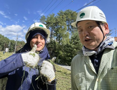 西部小学校北側国有林の薮かりを実施